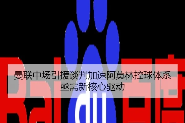 曼联中场引援谈判加速阿莫林控球体系亟需新核心驱动